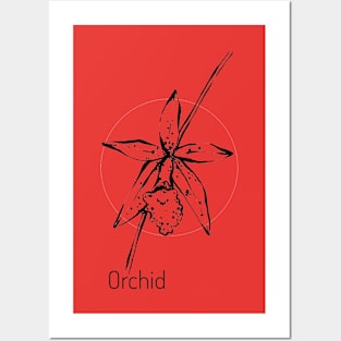 Orchid on red circle Posters and Art